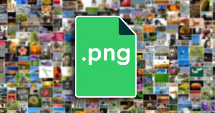 The Advantages and Disadvantages of PNG