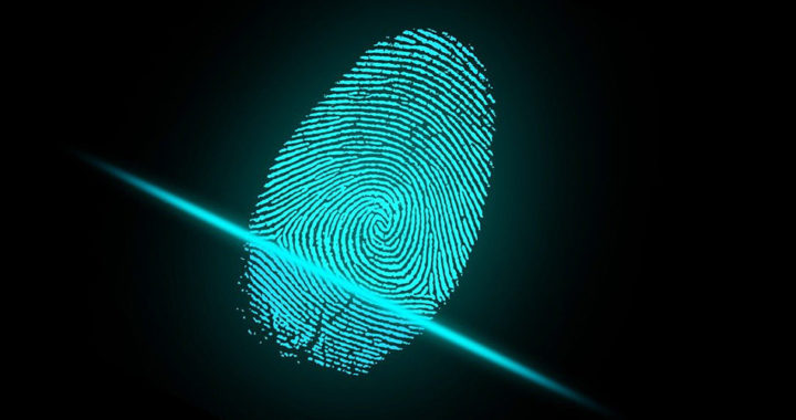 Fingerprint Scanners 101: Capacitive vs. Optical vs. Ultrasonic