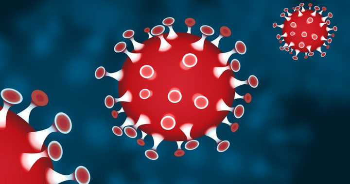 COVID-19 Facts: Survivability of SARS-CoV-2 in the Environment