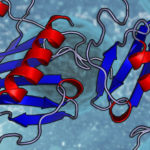 What are Chemokines: Role in Immune Response