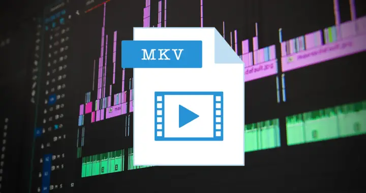 Advantages and Disadvantages of MKV File Format