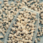 Cowpea Mosaic Virus Triggers Anti-Cancer Immune Response