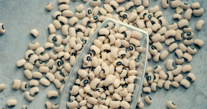 Cowpea Mosaic Virus Triggers Anti-Cancer Immune Response