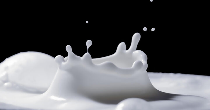 Replicating Casein for Sustainable Dairy Alternatives via Engineered E. Coli